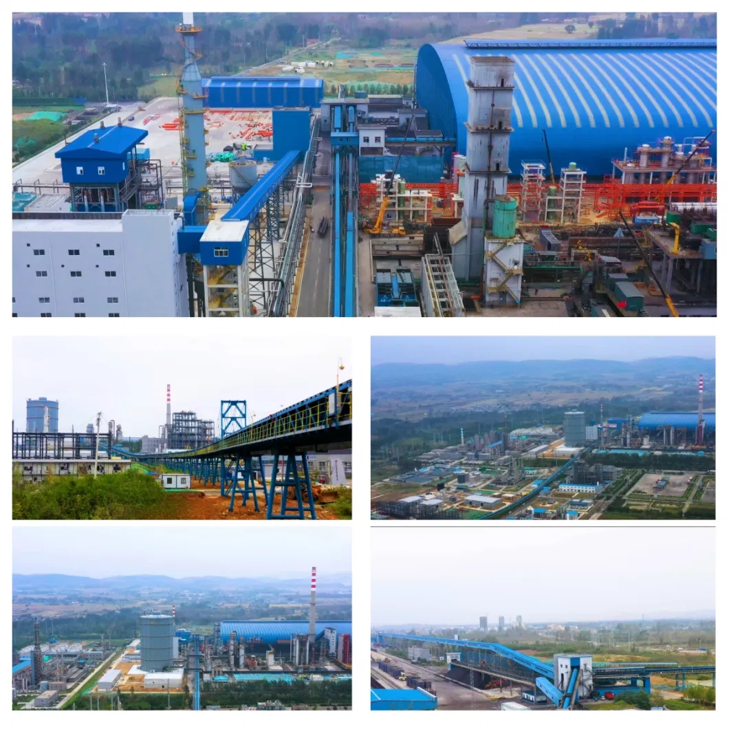 Long-Distance Overland Mining Belt Conveyer System for Coal Steel Metallury Mines Port Cement Chemical Power Plant