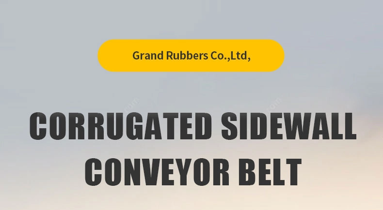 Inclined Sidewall Transmission Belt Ep-100-Ep500