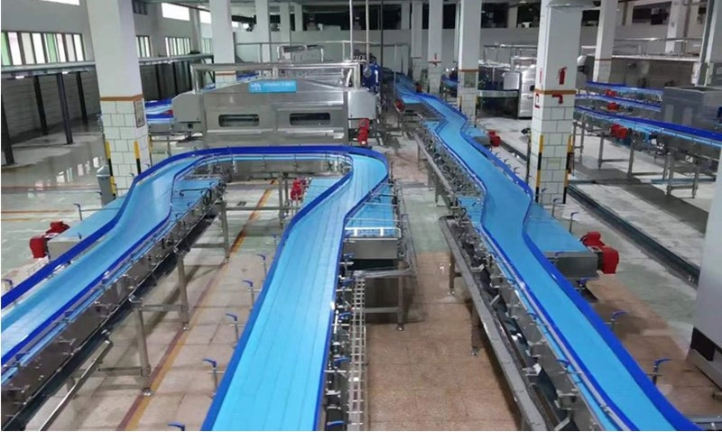 Flexible Flat Top Belt Plastic Chain Conveyor for Bottle