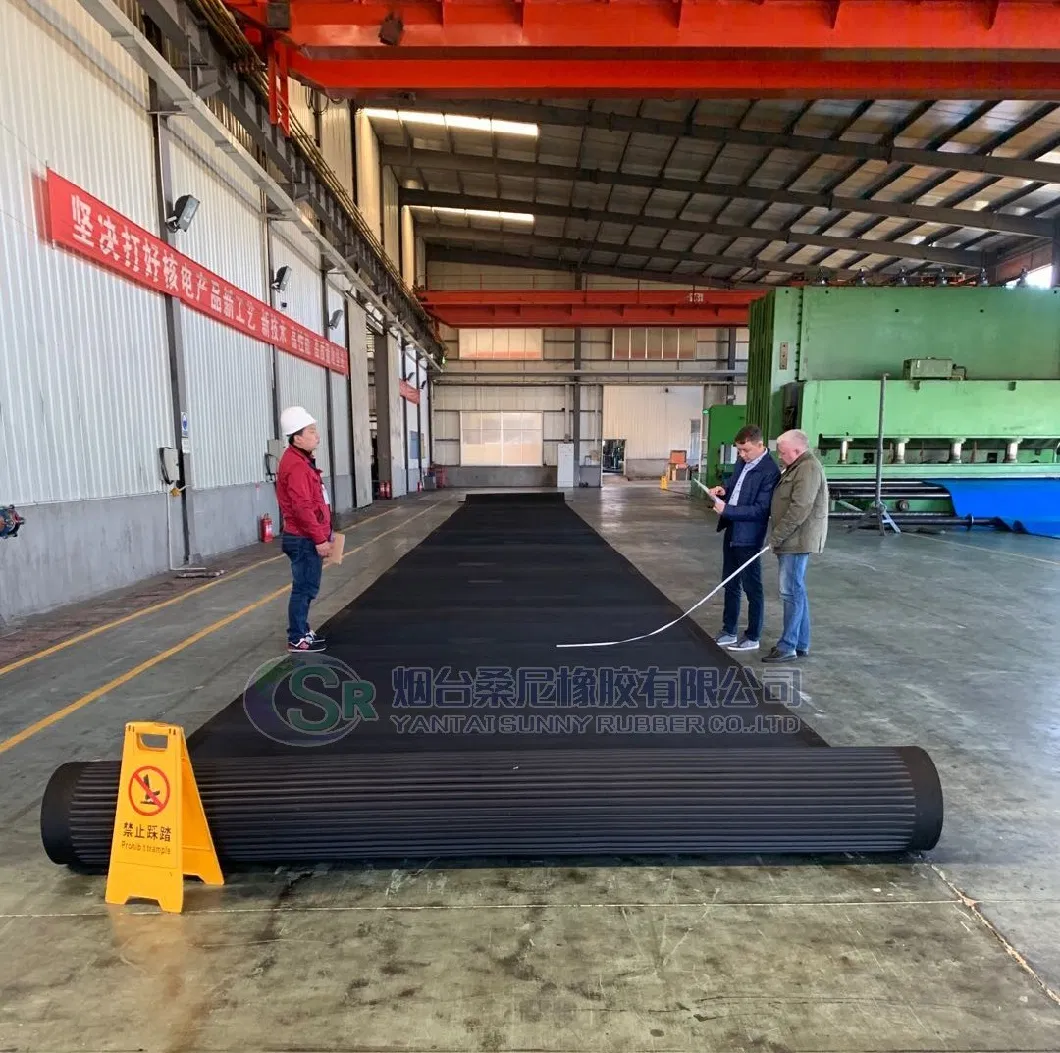 4.2 M Width Open -Ended Rubber Filter Belt