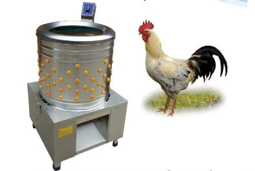 Stainless Steel Slaughter Equipment Chicken Feather Plucker Scalder Machine