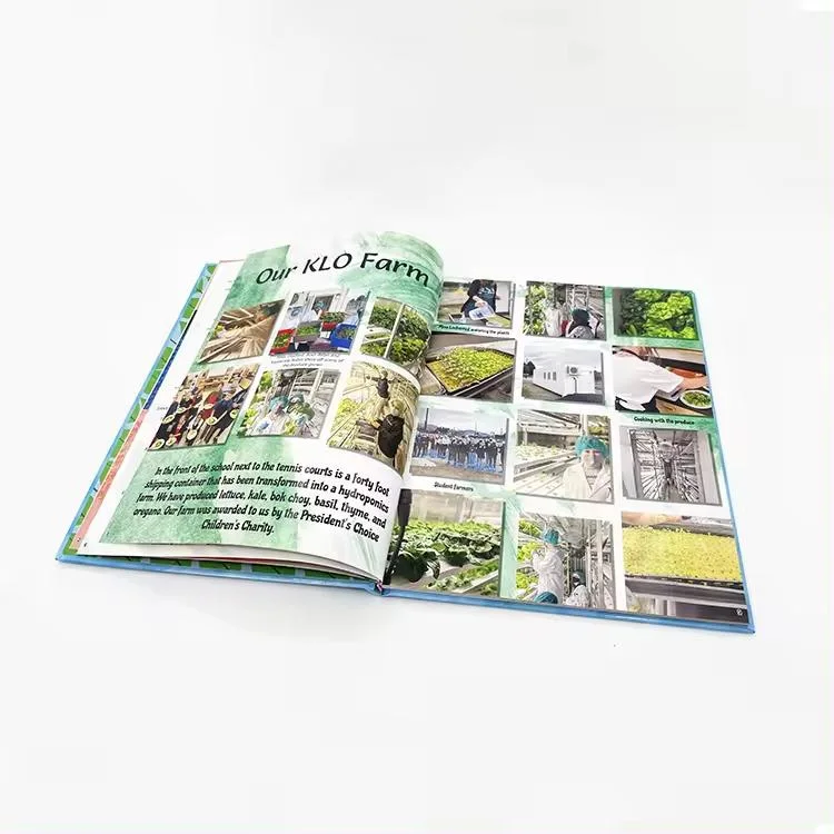 FSC Custom Multi-Layer Folding Standard Product Instruction Manual Books Booklets Color Picture Printing Instruction Manual