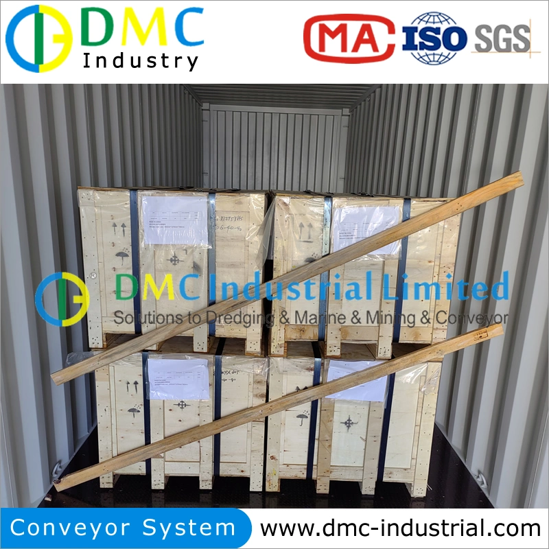 Carbon Steel Stainless Galvanized Electric Plating PU PVC Chain Driven Gravity Roller Conveyor System for Cartons Pallets Transportation