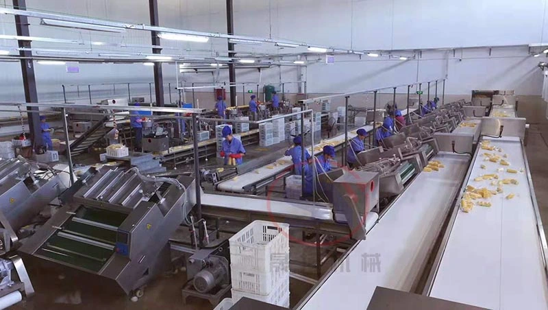 Automotive Sushi Conveyor Belt System PVC Food Conveyor Manufacturer