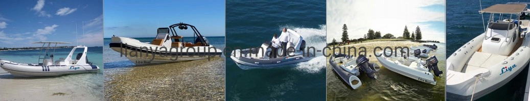 19FT Liya Fast Working Boat China Supplier Hard Tops for Boats