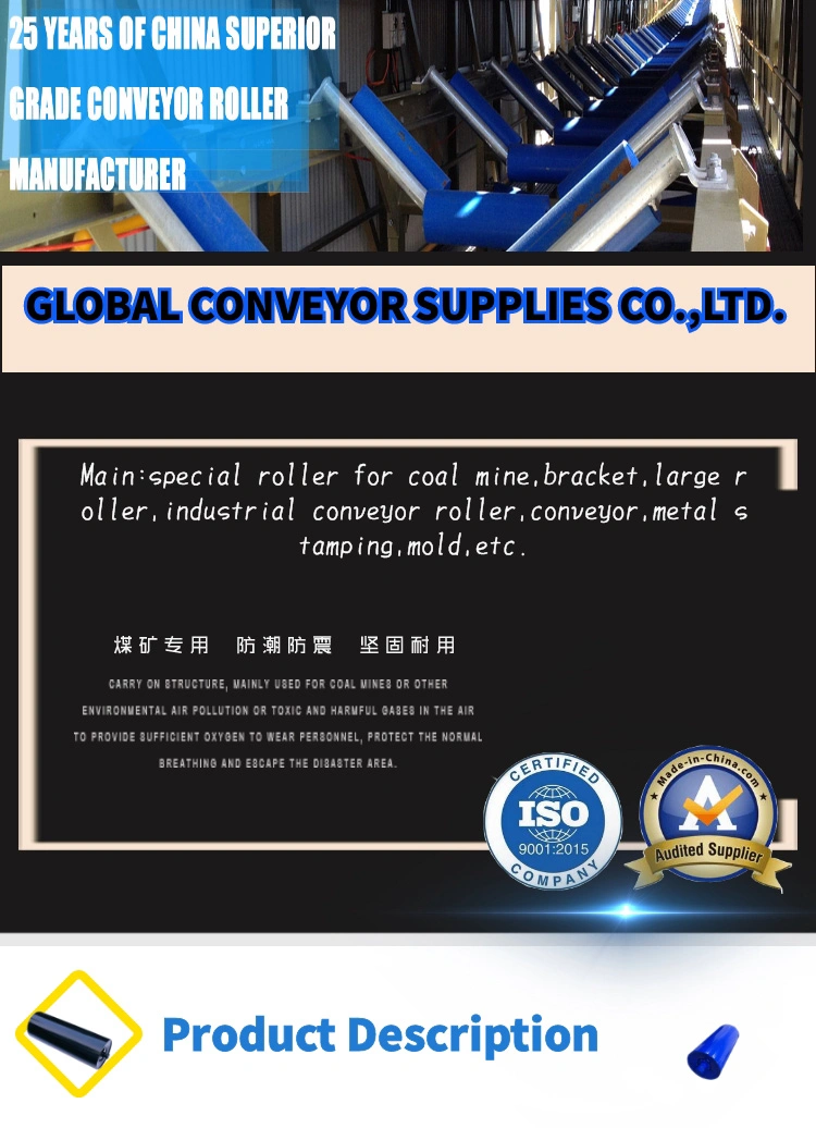 Wing/Guide Roller Vertical Side Guide Roller for Return Roller Frame Belt Conveyor Roller Guide Roller