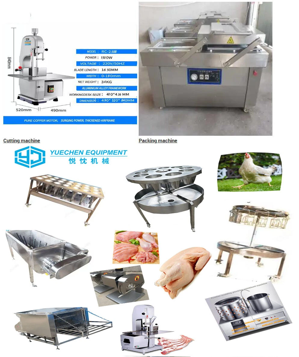 Halal Small Poultry Slaughterhouse Manufacturer Chicken Slaughter Equipment Machine Slaughtering Chickens