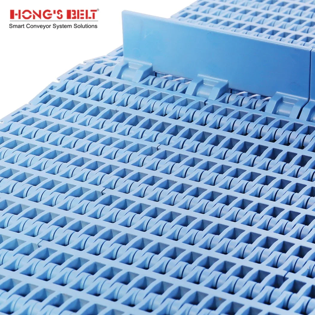 Hongsbelt Modular Plastic Conveyor Belt for Seafood/ Fruit and Vegetable Processing