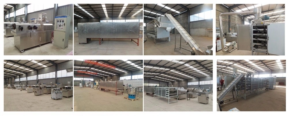 Industrial Conveyor Tunnel Microwave Dryer Sterilization Equipment Black Soldier Fly Bsf Larva Maggots Tenebrio Molitor Drying Dryer Machine