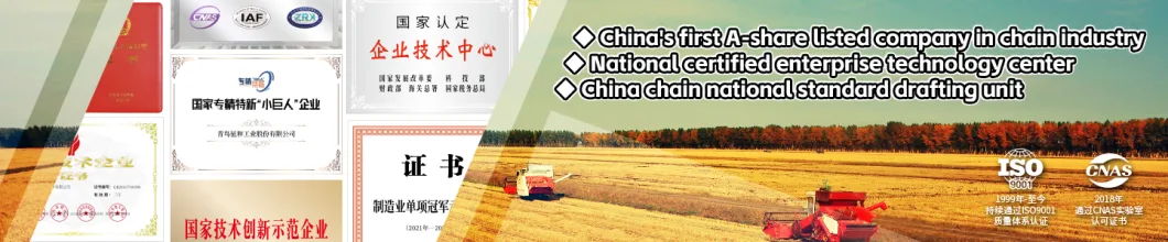 P50V2a1 Non-Standard Customization Agricultural Machinery Drive Short Pitch Transmisson System Roller Chain