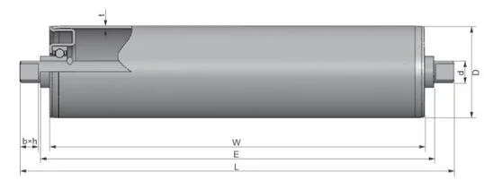 Huzhou Gravity Steel/Aluminum Conveyor Roller for Food, Medicial, Logistics, Conveyor System, etc.