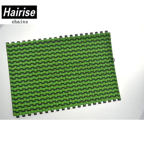 Hairise 2120 Friction Rubber Top Plastic Modular Belt with CE