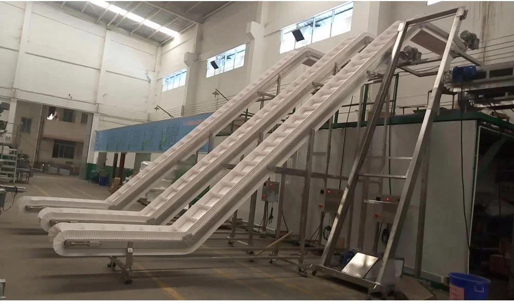 Tt-IC-01 Washable Belt Conveyor Easy Installation Operation Frozen Food Vegetables Feeding Conveyor for Bag Case Box Packing Line System