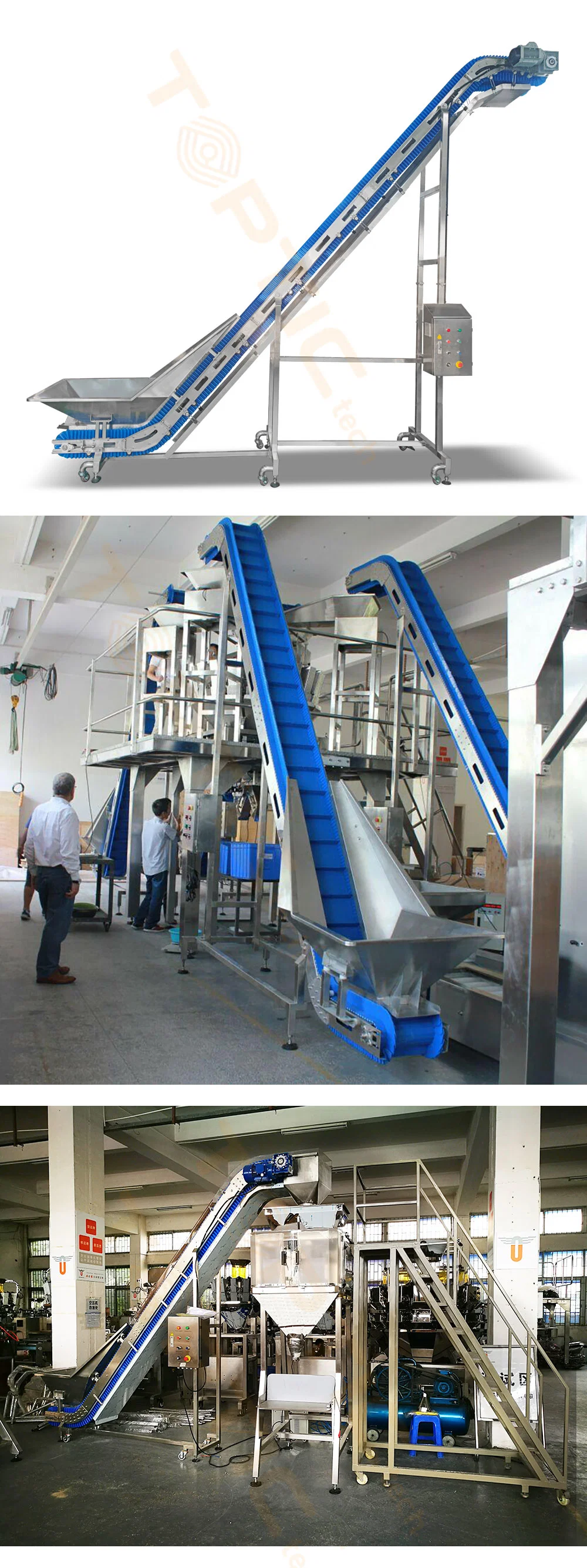 Tt-IC-01 Washable Belt Conveyor Easy Installation Operation Frozen Food Vegetables Feeding Conveyor for Bag Case Box Packing Line System