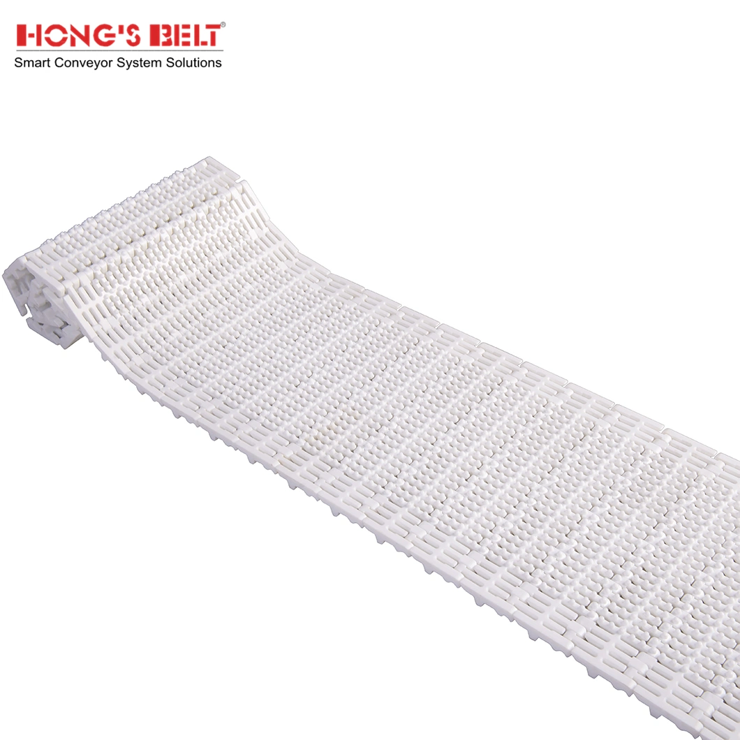 Hongsbelt HS-103b-HD-an Antibiotic Conveying Belt Nub Top Modular Conveyor Belt for Seafood Processing