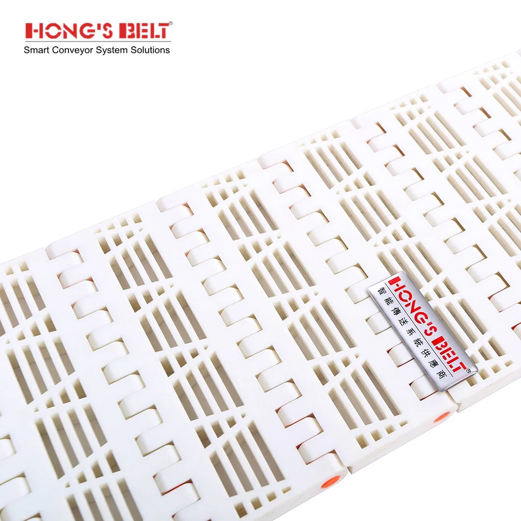 Hongsbelt High Quality Modular Belt Conveyor Modular Plastic Conveyor Belt for Conveyor System