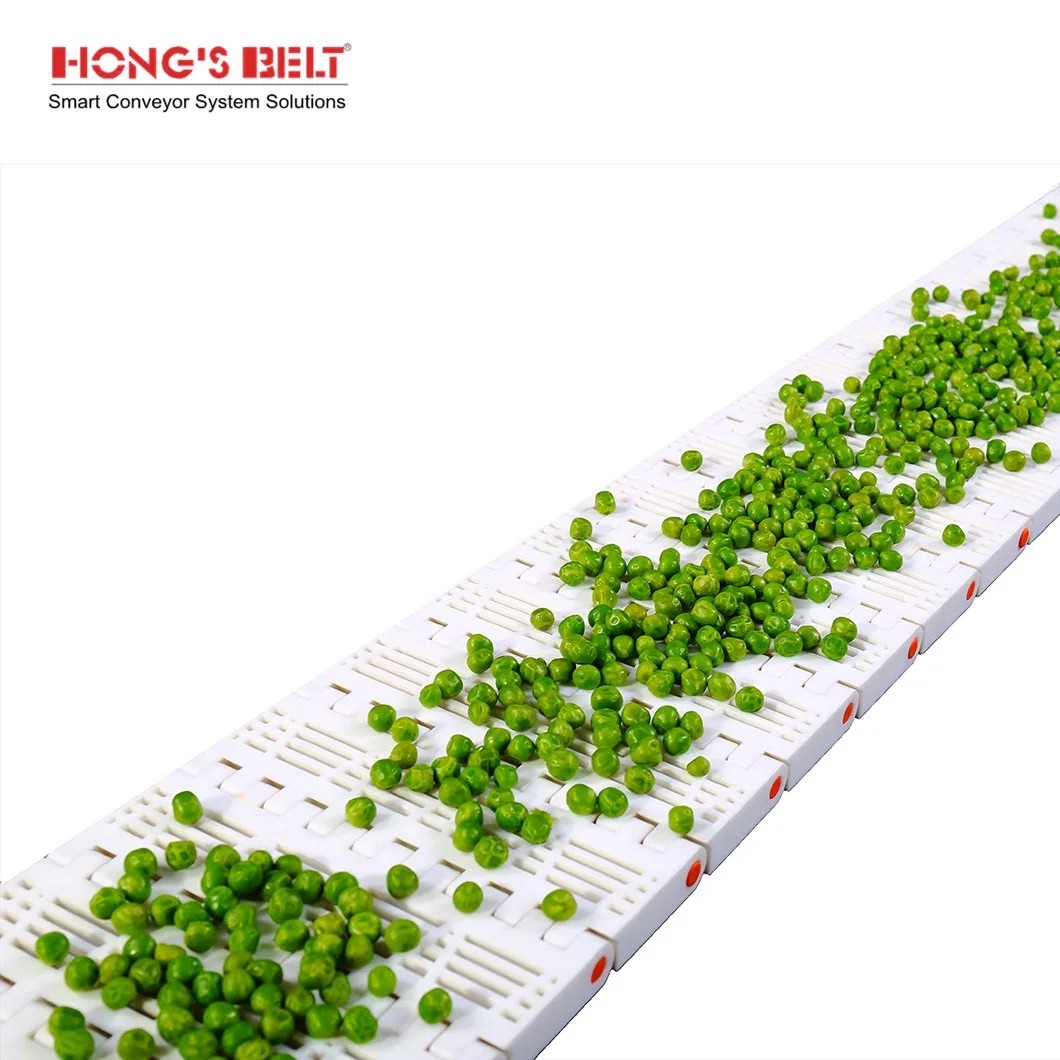 Hongsbelt High Quality Modular Belt Conveyor Modular Plastic Conveyor Belt for Conveyor System