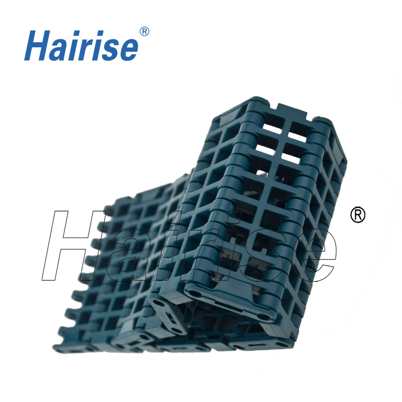 Hairise 1000 Limited Tablet Modular Belt for Conveyor with FDA&amp; Gsg Certificate