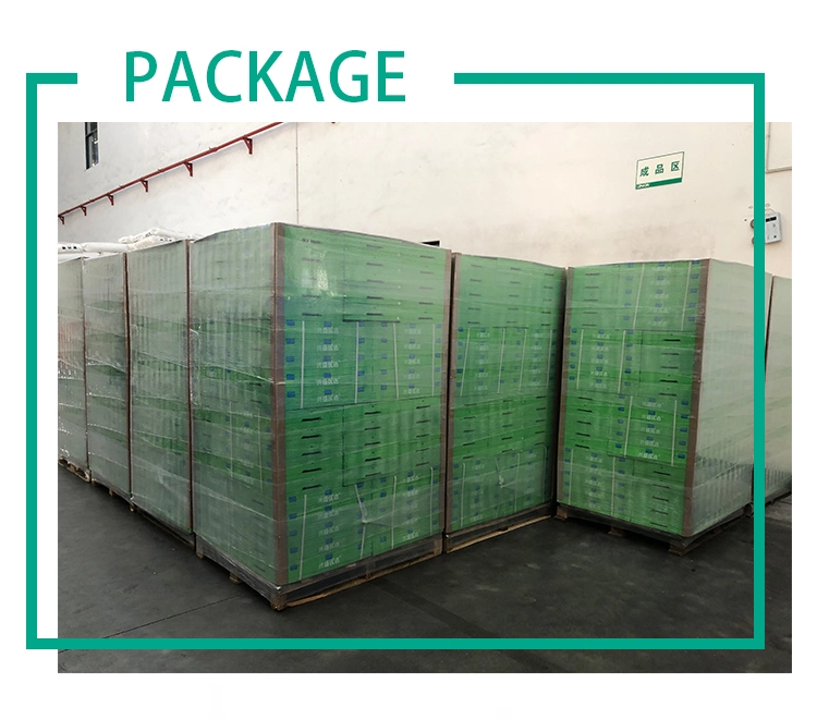 Transporting Tomatoes Avocado Stackable Nestable Vegetable Fruit Plastic Crates