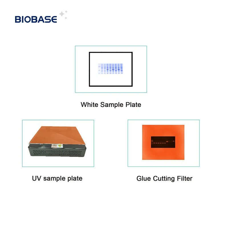 Biobase Fully Gel Imaging Medical Gel Document Imaging System