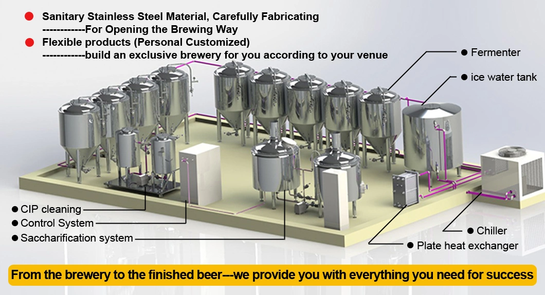 Turnkey Service Fermenting Tank Bright Beer Tanks Price