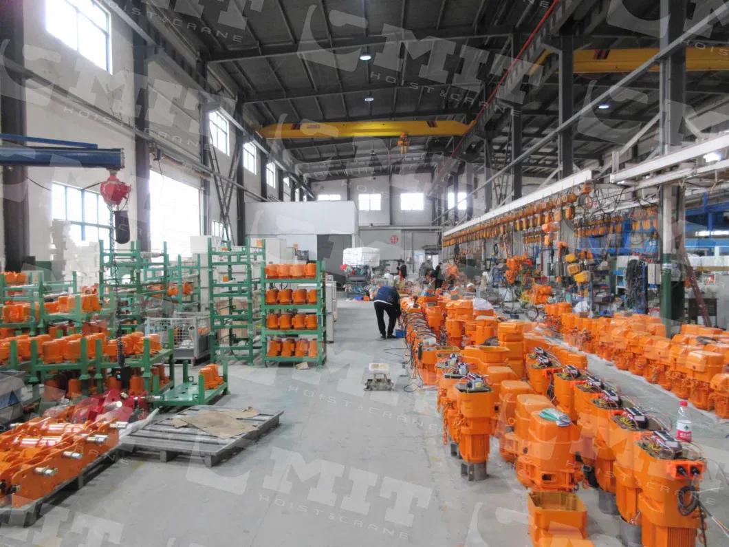 Manual Chain Hoist Manufacturer Lifting System