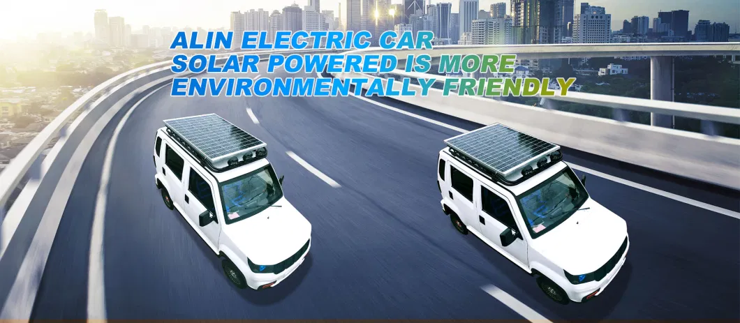 Electric Vehicle Pick up 300kg Loading Capacity Electric Car for Cargo.