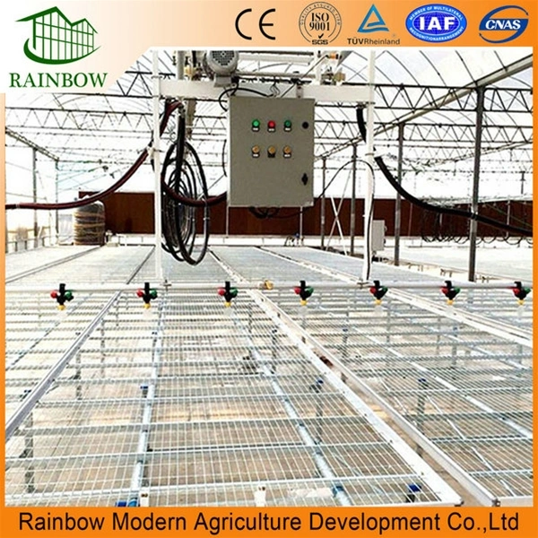 Inside Shading System for Greenhouse Project Made in China