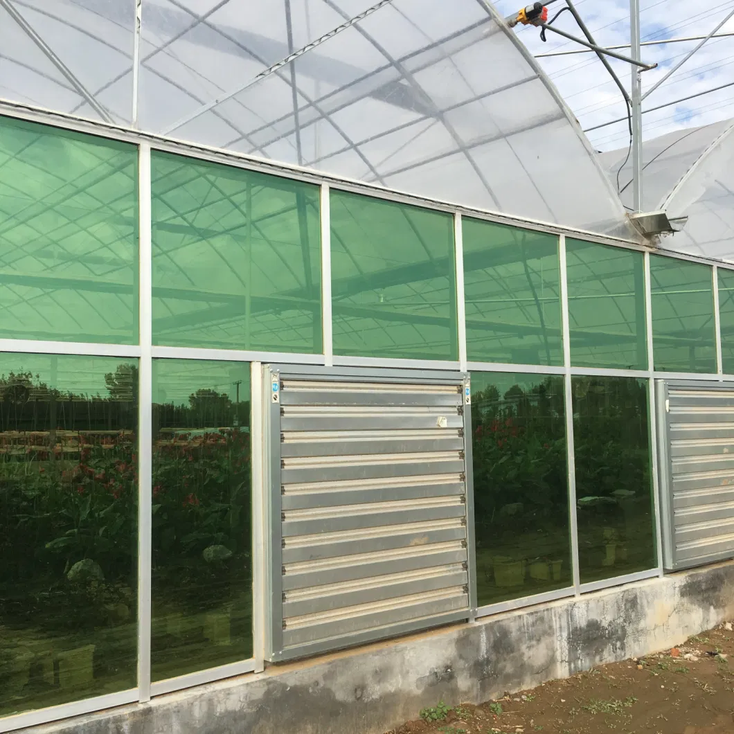 Inside Shading System for Greenhouse Project Made in China