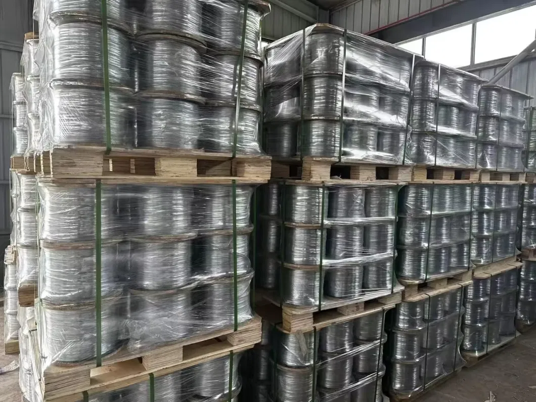 Factory Directly Supply Galvanized Steel Wire Rod for Making Nail