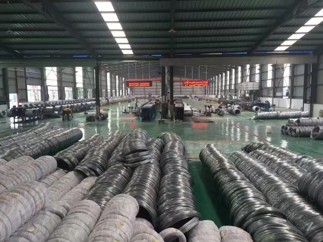 Factory Directly Supply Galvanized Steel Wire Rod for Making Nail