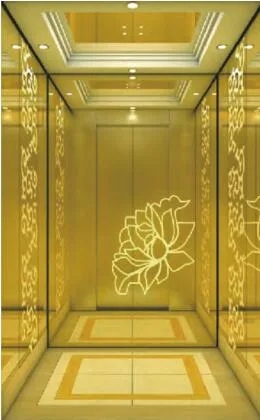 Passenger Elevator Home Lift Elevator Parts Titanium Mirror Etching Cabin