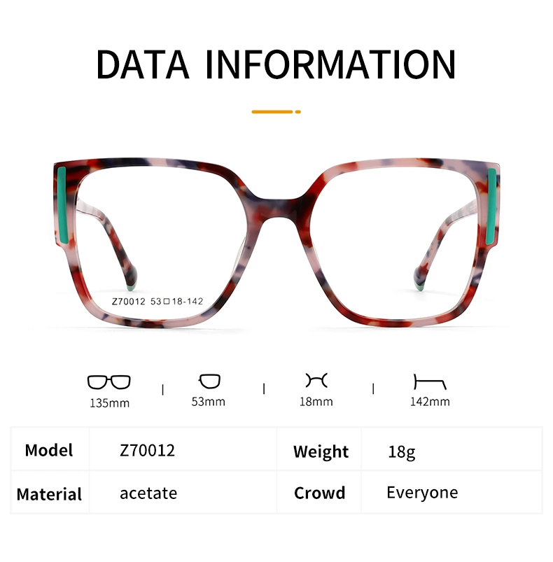 Z70012 Wholesale New Design Eyeglasses Spectacles Optical Acetate Eyewear Frame