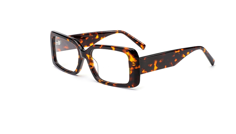 China Manufactory Newest Design for Men Quickly Shipment Optical Spectacle Frames