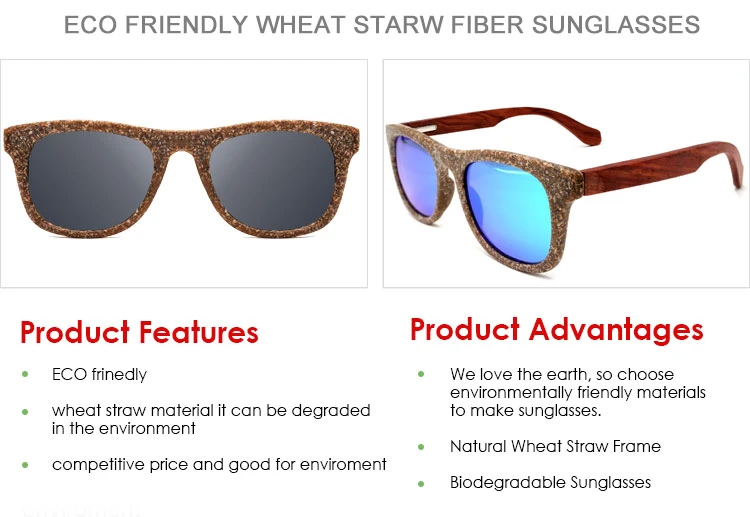 Readsun 2023 Classical Fashion Trend Sustainable Wheat Straw Frame Recycled Eco Friendly Sunglasses