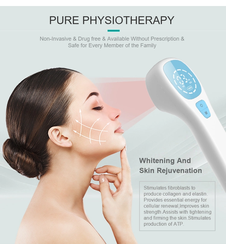 Facial Beauty Equipment LED Light Instrument