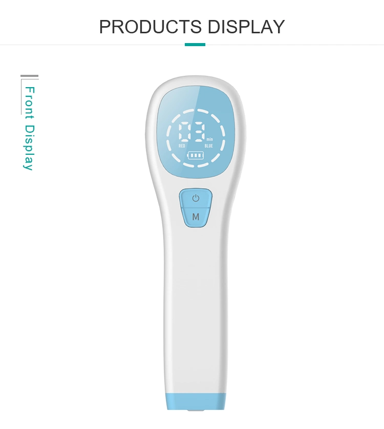 Facial Beauty Equipment LED Light Instrument