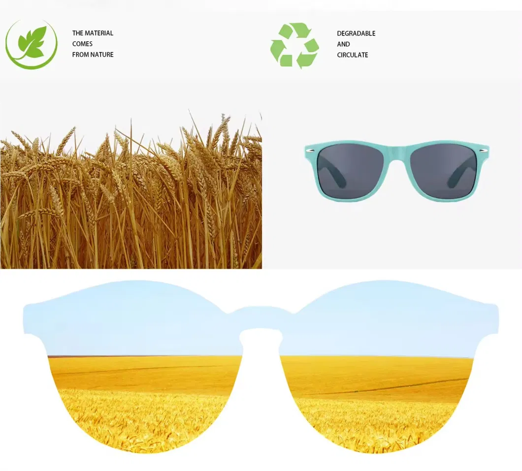 Sustainable Environmental Glasses Eco-Friendly Degradable Men Sun Glasses Wheat Straw Biodegradable Sunglass UV400 Women Sunglasses