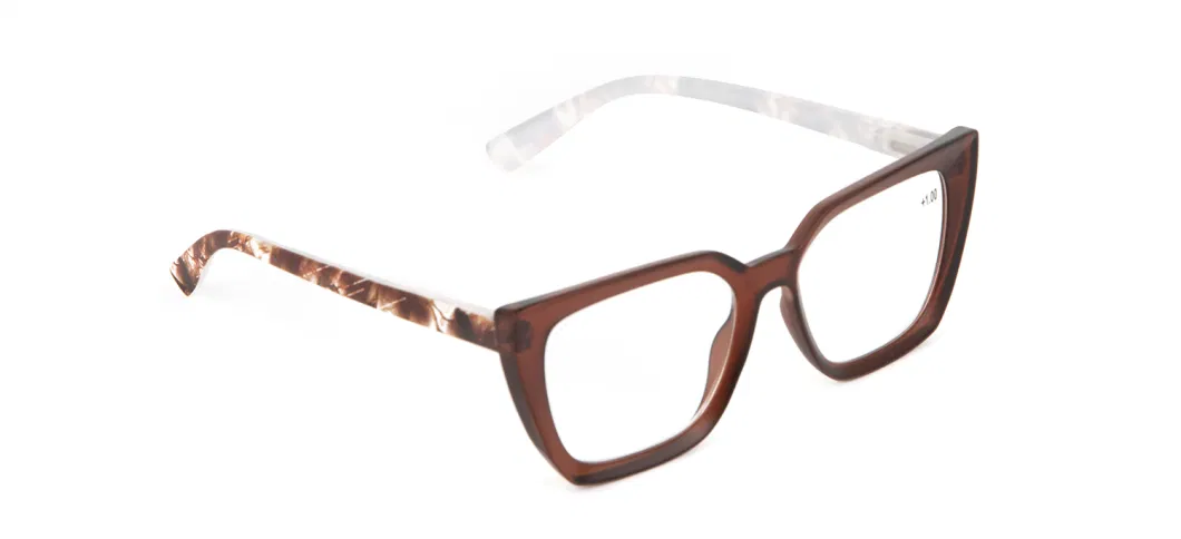 Polygonal Plastic Reading Glasses with Pattern Temple