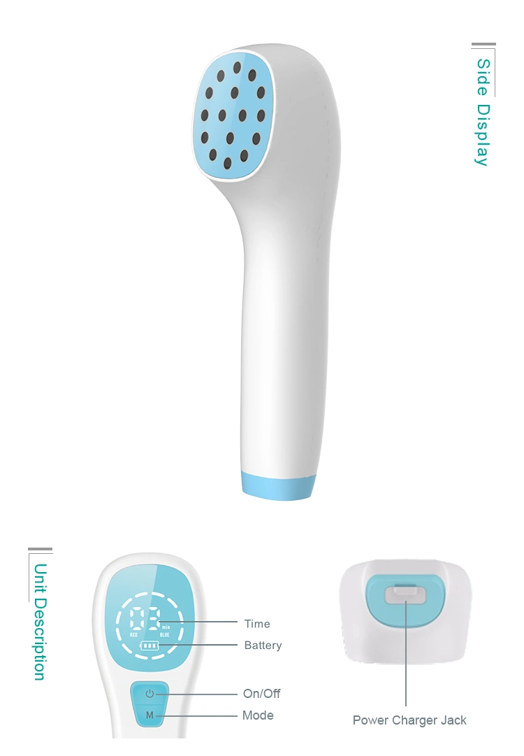 Facial Beauty Equipment LED Light Instrument