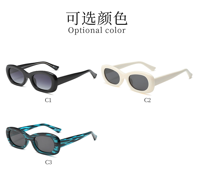 Unisex Classic Retro Custom Factory Selling High Quality Personalized Oval Luxury Casual PC Sunglasses