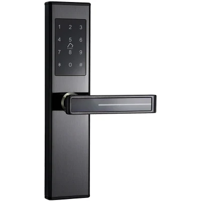  Door Handle Fingerprint Lock Biometric Fingerprint Digital Cylinder WiFi Smart Double Phone APP Access Door Lock