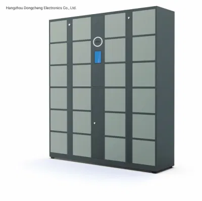 DC Identification Plywood Case CE, ISO Face Recognition Delivery Locker