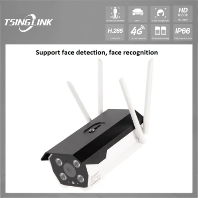 Front-End Face Database Management Facial Recognition Smart Bullet WiFi Camera