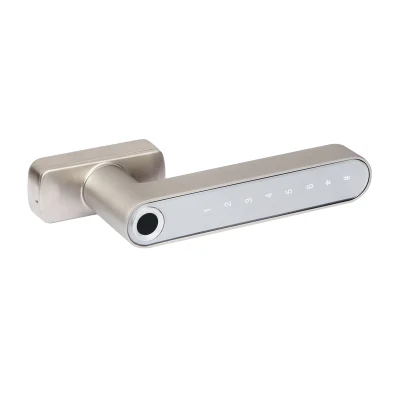  Zinc-Alloy Material Silver Color Fingerprint Password Lock Suit for Alum. Door and Window