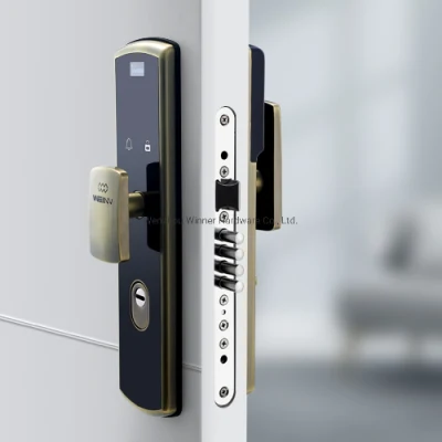  Security Bulletproof Door Outdoor Smart Lock /Multi Point Lock 265 Fingerprint Lock