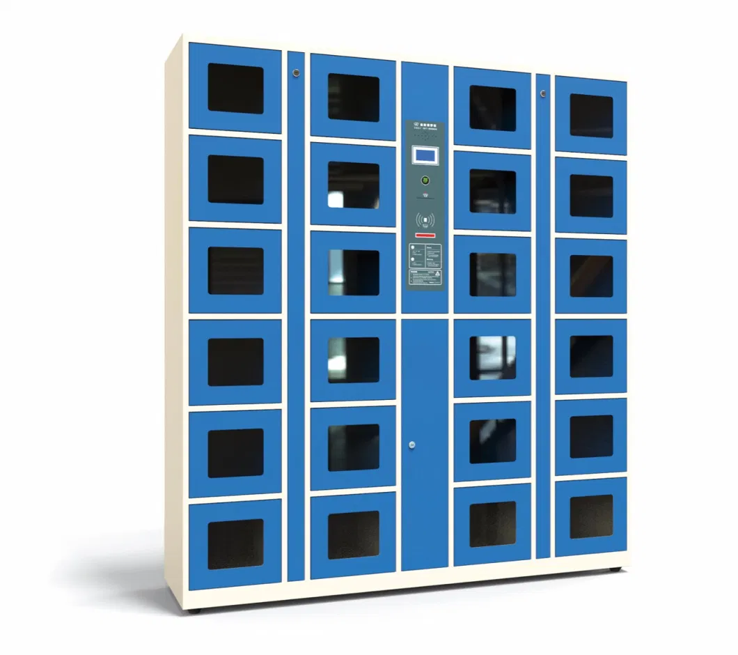 Cold Rolled Steel Face Identification DC Digital Lockers Delivery Locker