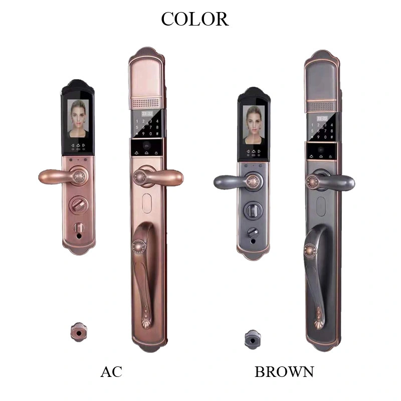 Villa Door Visible Fingerprint Password Smart Door Lock