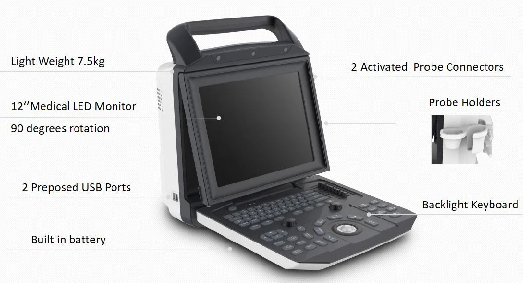 Ecography 4D Color Doppler Laptop Ultrasound Scan Machine FDA Approved