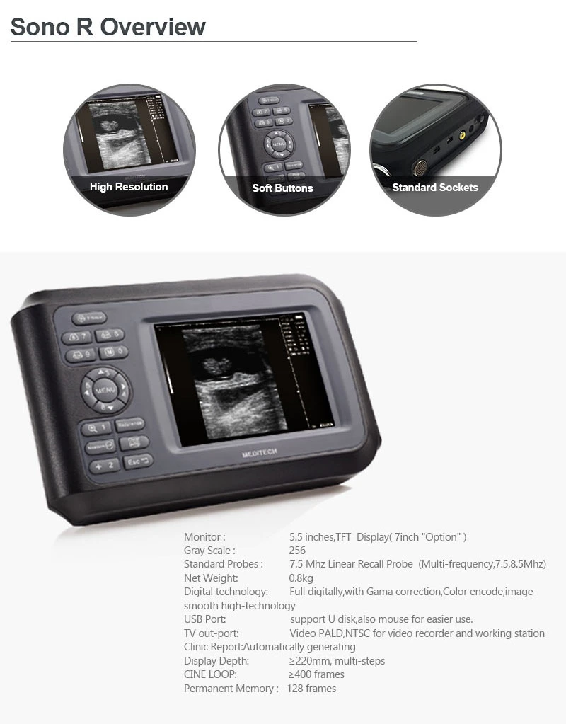 Color Display, Portable RFID Veterinary Ultrasound Machines